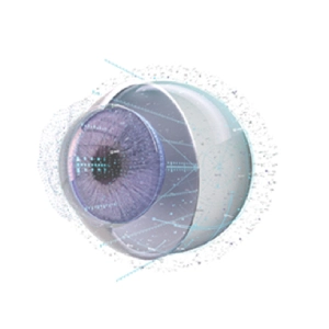 3D Eye Model